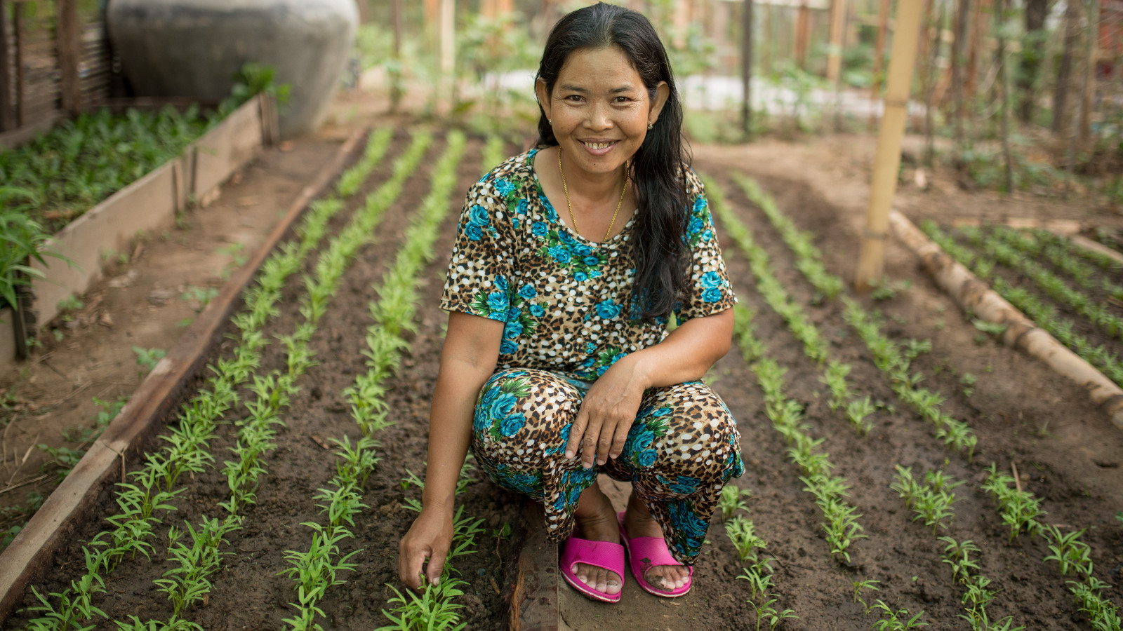 Cambodjaanse vrouw werkt op haar groenteplantage, ondersteund door microfinanciering van Oxfam Novib